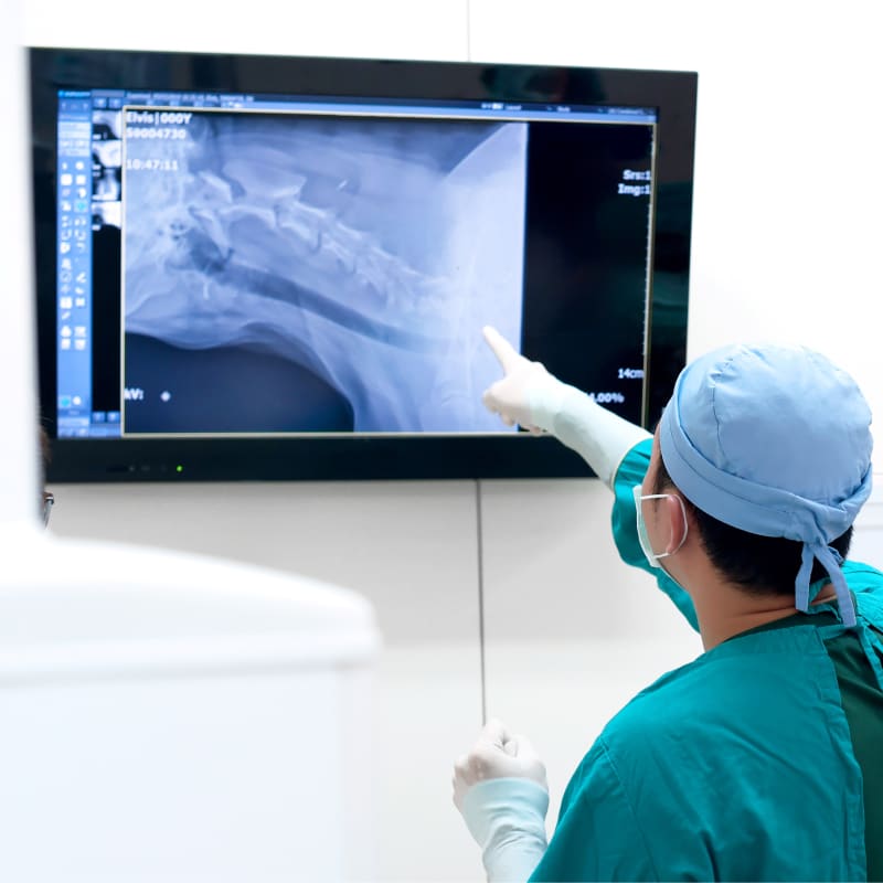 Veterinary Lab Technology X-ray imaging at AllAnimalClinic in Leighton